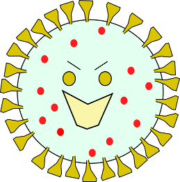 koronavirus.png