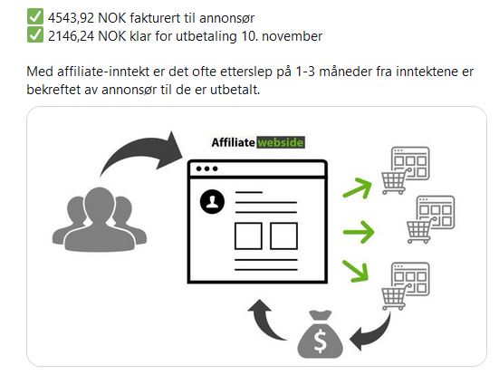 Affiliate inntekter oktober.JPG